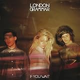 IF YOU WAIT (OGV)                                  image