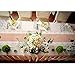 Outus Burlap Lace Table Runner Hessian Table Cloth for Country Outdoor Wedding Party Decor