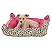 WWE Divas 19X16 Pinch Corner Pet Bed