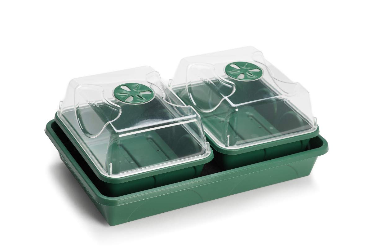 EarlyGrow Shatterproof 2-Bay Propagator with Capillary Mat and Tray (Self-Watering) - Green - 38 x 24 x 15cm