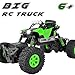 RC Control Toy Remote Control Car 4WD Off Road Monster Truck Crawler with Dual Motors 4 Steering Mode Big Remote Control Truck Toy for Boys Age 6 12 Years Old - Green