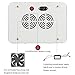 ColoFocus 1000W LED Grow Light, Double Chips Indoor LED Plant Grow Light Kit, Full Specturm for Plants Veg and Flower, Plants (10W Leds 100Pcs)