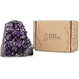 DEEP PURPLE PROJECT Amethyst Geode (1 to 1.5 Lb) Raw Clusters Crystals from Uruguay