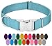 Country Brook Design - Vibrant 30+ Color Selection - Premium Nylon Dog Collar with Metal Buckle (Large, 1 Inch, Ocean Blue)