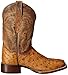 Dan Post Men's Alamosa Western Boot