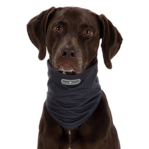 Insect Shield® Dog Loop invisible, odourless insect protection The