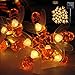 iMazer Bee Lights, Bumble Bee Decorations Solar String Lights 30 LED Honey Bee Shaped Fairy Light for Outdoor Garden Flower Fence Tree Face Decor, Warm White LD010