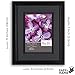 Gallery Solutions 12FW1667 Picture Frame, 8 inches x 10 inches, Black/Black