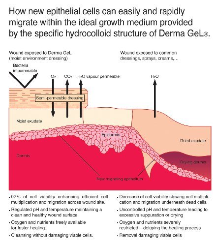 Veterinus Derma GeL Tube 100mL - 3.4 fl.oz. + 1 FREE 10mL Sample