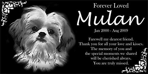shih tzu memorial