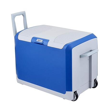 Refrigerador para Autos, 12 V Refrigerador PortáTil De Viaje para ...