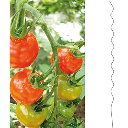 Tomatenspiralstab 180cm verzinkt Pflanzspiralstab Tomaten Pflanzstab Spiralstab