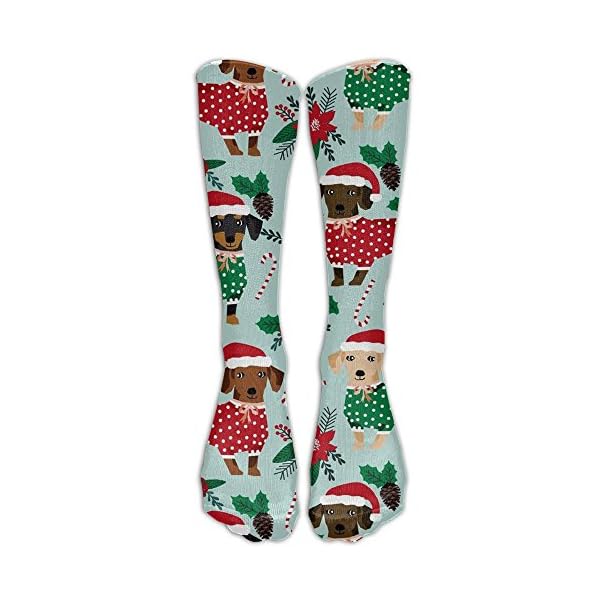 Whdueg Hot Christmas Sweaters Cute Dachshunds Compression Socks for Women and Men - Best Medical, Nursing, Travel…