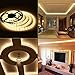 ROLiGHTiC LED Strip Light 16.4ft 300leds Warm White 3000K 3528 Led Tape Lights Full Kit with RF Remote Dimmer & 2A Power Supply for Home Lighting, Indoor Decoration (Warm White)