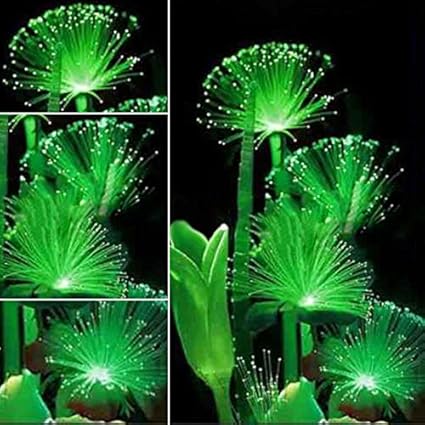 Dewin Fluoreszierende Blumensamen - seltene Emerald Blumensamen, Nachtlicht emittierende Pflanzen, Garten-Dekor, 100 Stück