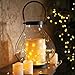 10ft (3m) 30 LEDs Fairy LED Wire String Lights - Starry Starry Lights w/Timer Battery Box for Festival, Christmas, Wedding, Holiday and Party - Warm White - Waterproof, Battery Powered THL-01