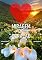Livro Miragem do Coração