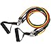 FlintFit Exercise Resistance Band Set: Stretchy Exercise Bands (11 Piece Set)