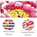 TOCARE Large Diamond Painting Kits for Adults Dancer,Large Diamond Art Kits for Adults 15.7x23.6Inch, Full Drill Diamond Painting Red Dress Lady for Home Wall Decor