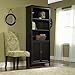 Sauder Edge Water Book Shelf, Bookcase with Storage Doors and Adjustable Shelves, L: 29.29