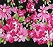 Sunny Fashion Girls Dress Hot Pink Flower Belt Party