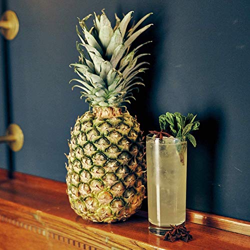 Remedy Rum Pineapple | Mit lieblicher Essenz der Ananas verfeinert | 40% Vol. | 1 x 0,7l – Bild 7