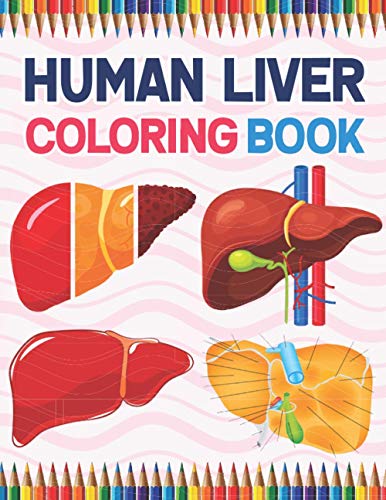 Buy Human Liver Coloring Book: Incredibly Detailed Self-Test Human ...