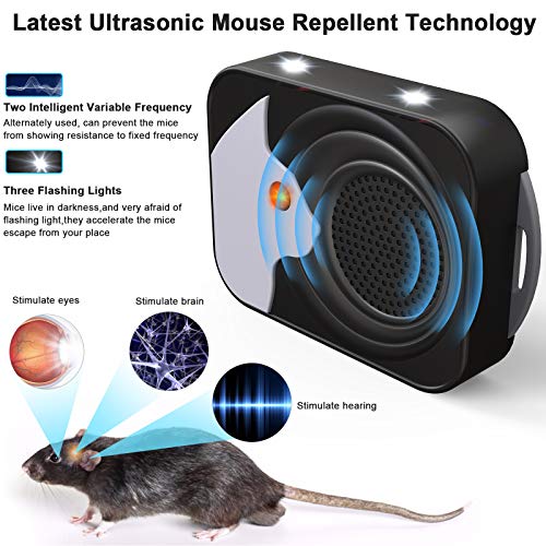 Ultrasonic Pest Repeller, Electronic Mouse Repellent, Under Hood Animal