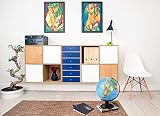 EXERZ World Globe 25cm Educational Political Map Swivel Desk Globe view 5