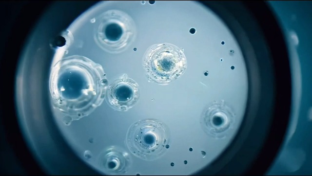 Thumbnail 22