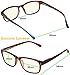 Success Eyewear Computer Glasses 2 Pair Anti Glare Spring Hinge Ombre Color Computer Reading Glasses for Men and Women Set of Havana Blue and Havana Red 2