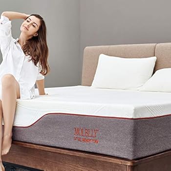 Queen Mattress, Molblly 14 inch Ventilated Gel Memory Foam Mattress Bed Mattress in a Box - CertiPUR-US Certified Foam