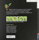 Image de Simon el duende caprochoso (Buenos De Cuento) (Spanish Edition)