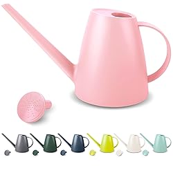 Watering Can for Indoor Plants, Small Watering Cans