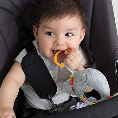 skip hop cloud stroller toy