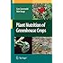 Plant Nutrition of Greenhouse Crops