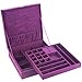 Mantello Two-Layer Lint Jewelry Organizer Box Storage Case with Lock, Purple