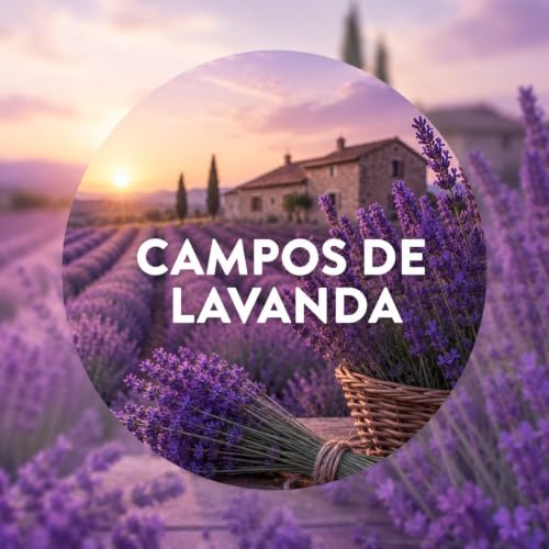 Active Fresh Kit Ambientador Automático, Lavanda, Difusor + 4 Recambios, 280 Días