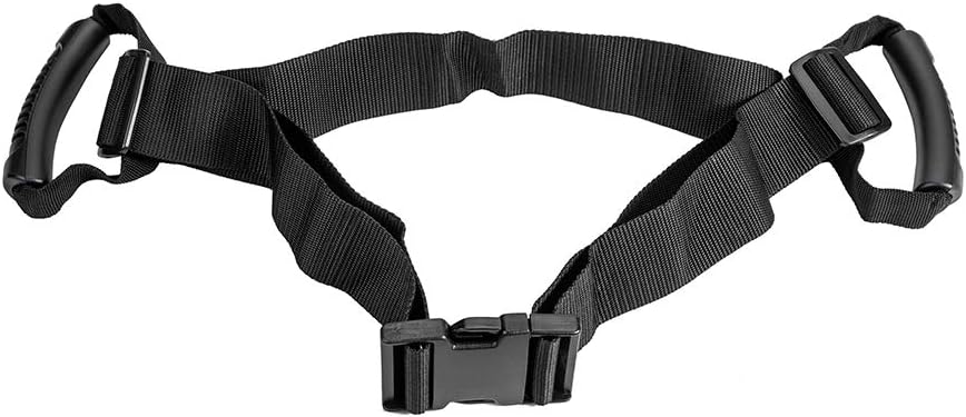 motorcycle passenger grab belt