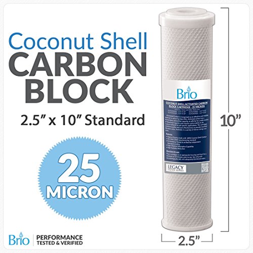 Organize 25 Micron CTO Carbon Block Coconut Shell Water Filt