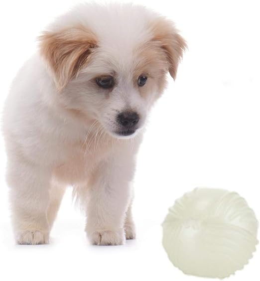 GZXHWWJ Juguete para Perros 1 Unids Cute Ball Glow In The Dark ...