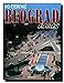 BEOGRAD DANAS 8676394237 Book Cover