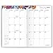 AT-A-GLANCE Monthly Pocket Planner, January 2018 - January 2020, 3-5/8