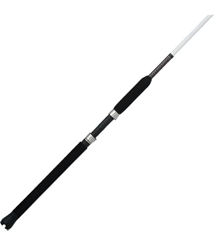 DAIWA - t.m Daiwa TDEYE701MLXS-MT TD Eye Walleye Spinning Rod - TackleDirect