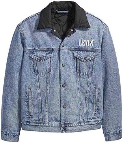 levis reversible