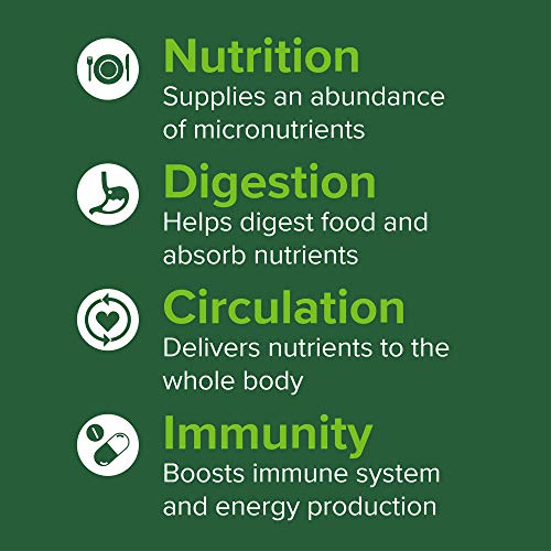 Green Vibrance Superfood Powder - Image 7