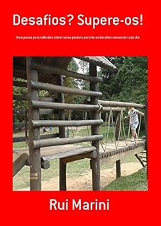 Livro Desafios? Supere-os!: Uma pausa para reflexões sobre nossa postura perante os desafios nossos de cada dia