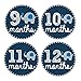 Pinkie Penguin Elephant Baby Monthly Stickers - Milestone Onesie Stickers - 1-12 Months - Baby Boy Month Stickers