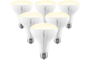 Sengled Zigbee Smart Bulb, Works with SmartThings and Echo with Built-in Hub, Voice Control with Alexa and Google Home, Hub R