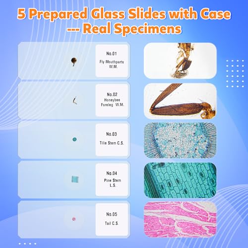 Digital Microscope for Kids Ages 6-12: 4K 2.0" Screen USB Portable Miniscope Rechargeable Handheld Coin Magnifying Glass Edu Science STEM Toy Gift for Boys Girls Christmas w/ 32G Card EVA Case